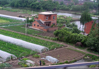 aerial photo of a house and fields full of crop coverings