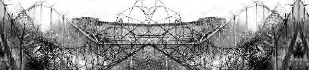 photo of a barbed wire fence