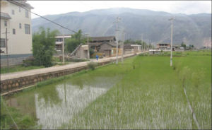 photo of a road right next to flooded rice paddies. in the background is mountains.
