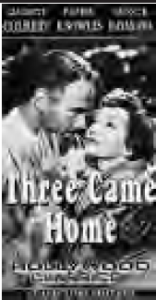 movie poster for three came home