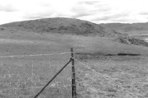 photo of a thin wire fence in a field