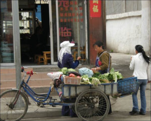 a farmer selling cabbage from a cart on her bike