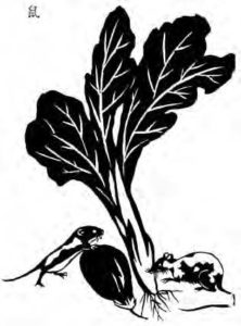 illustration of some vegetables and mice