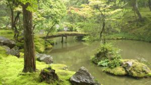 Photo of a sage green pond. Around the pond is moss-covered rocks and trees.