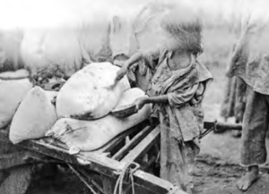 Image shows a small child carefully brushes a sack of grain