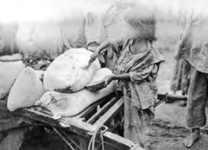 Image shows a small child carefully brushes a sack of grain 