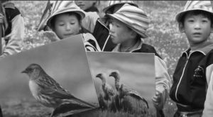 Several small children hold large images of birds in various poses. One child looks at the images while another points and looks off into the distance with another young boy.