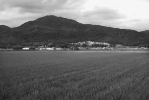 Photo of fields under mountain