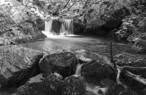 Image of Woodland falls in rock pool