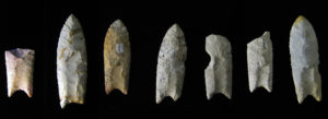 Clovis points from the Rummels-Maske Site, Iowa, USA.