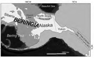 Illustration of Beringia (the Bering Straits land bridge) 20,000 years ago.