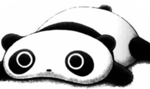 Image of lazy panda lies on the floor