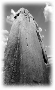 Photo montage of a Kul Tigin stone pillar in a Mongolian grassland.