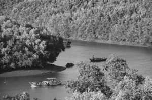 Boats on Đông Tranh River, the longest of the main rivers in Cần Giờ Mangrove Biosphere Reserve, Việt Nam, at risk of development.  The river is surrounded by densely packed forest. 