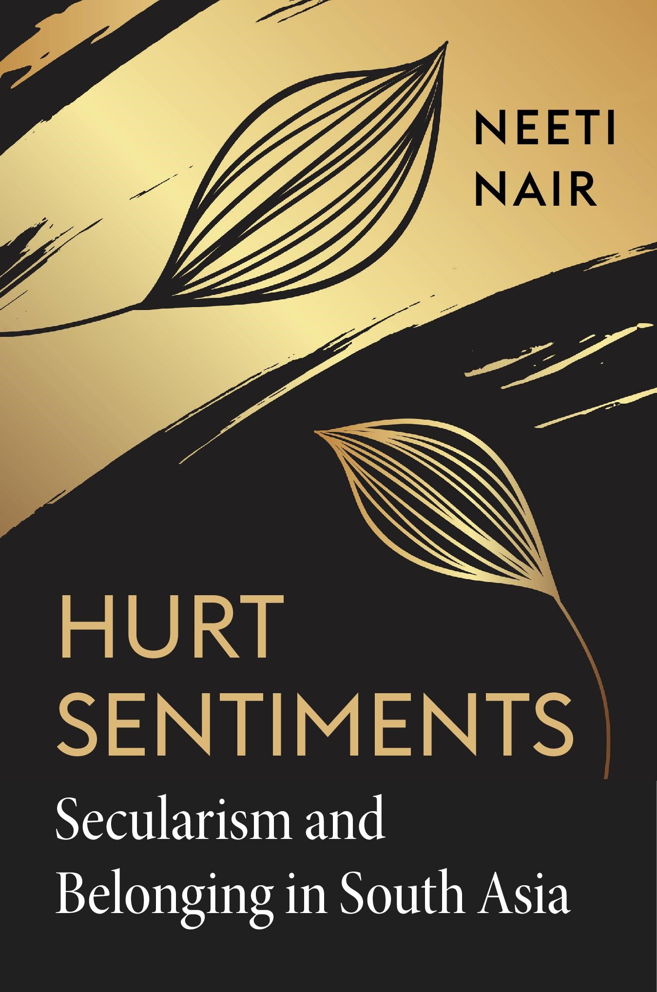 Cover image of Hurt Sentiments: Secularism and Belonging in South Asia