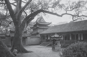 Image of a temple with a big tree