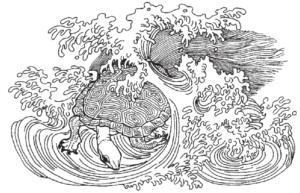 image of a wave and a turtle illustration