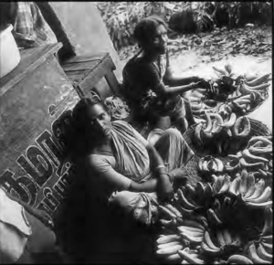 Two women sell fruit at a market in Madurai, Tamil Nadu, India.