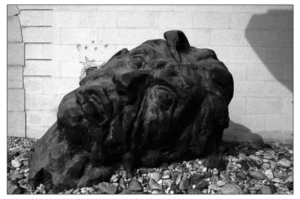 A sculpture of severed head on the ground