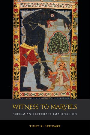 Cover of Tony K. Stewart, Witness to Marvels: Sufism and Literary Imagination