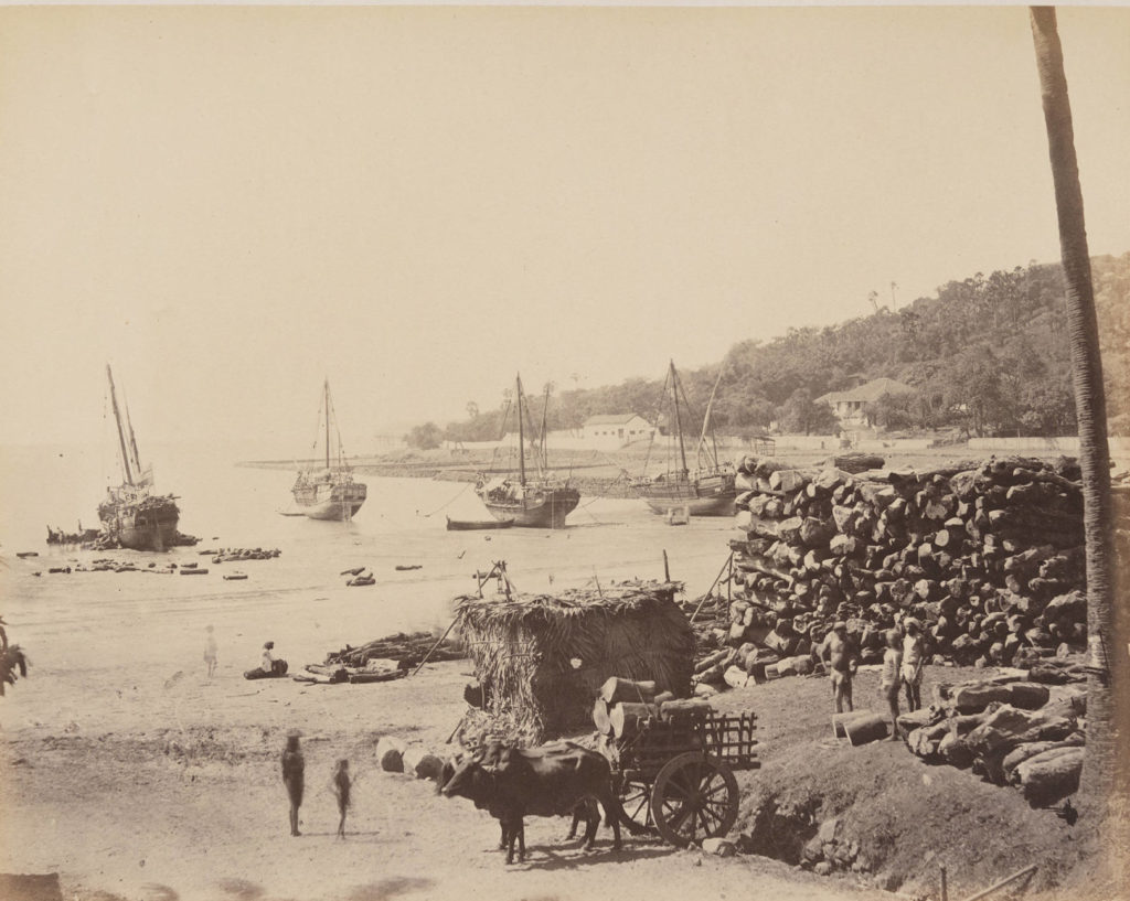 Photograph of beach with some sailboats and wood piles