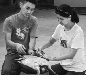 Two Malaysian students conducting research hold a large turtle upside down as they assess its feet. 