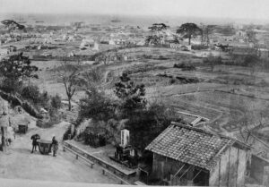 an aerial photo of rice paddies and a village and a distant port and water full of boats