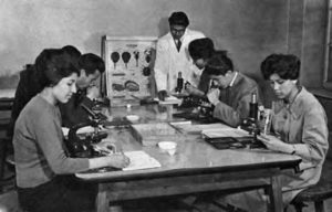 a group of students, mostly women, using microscopes