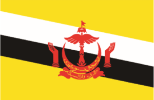Brunei flag. national flag consisting of a yellow field (background) with two diagonal stripes, one black and one white, and a central red and yellow coat of arms. Its width-to-length ratio is 1 to 2. Although a few countries have half of their national flag in yellow, Brunei alone has a yellow background.
