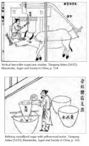 illustrations showing how sugar is made from sugarcane