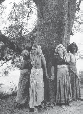 Image shows village women wrap themselves around a tree