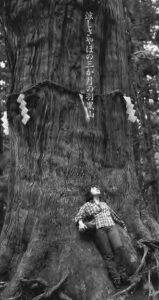 a woman stands at the base of a large tree