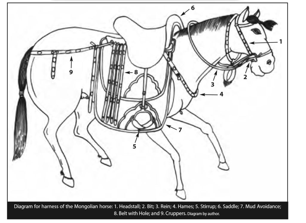 Diagram for harness of the Mongolian horse which includes the headstall, bit, rein, hames, stirrup, saddle, mud avoidance, belt with hole, and cruppers. 