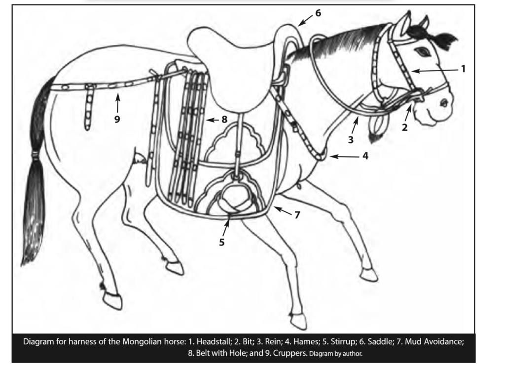 Наездник кроссворд. Седло стремена упряжь. Раскраски лошади в амуниции. Выкройки амуниции для лошадей. Сбруя.