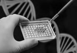 photo of gloved hands holding a needle and DNA holder