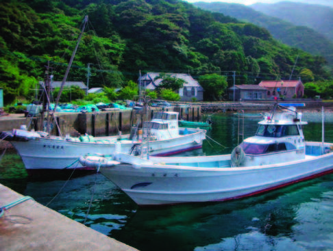 photo of two ships at the dock