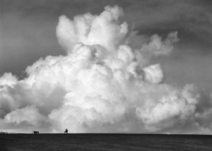 photo of a horse in the distance in a field with lots of clouds