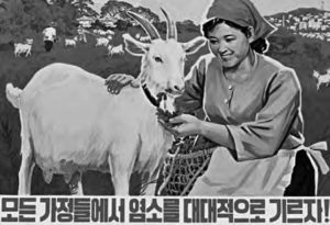 a north korean poster with a woman next to goats