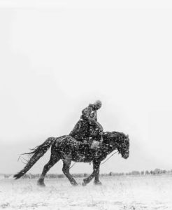 Photo of a man riding on a horse 