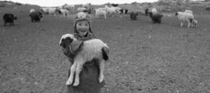 Image of a child smiling holding a small sheep