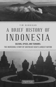 Book cover of "A brief history of Indonesia."