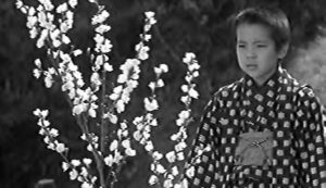 a little boy in robes standing in front of a blossoming tree