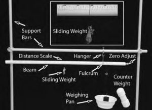 Digital diagram of Cheng, or steelyard balance, made in laboratory class to illustrate torque balance.