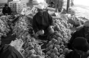 a man sitting among piles of pomegranates