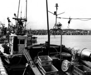 Picture of the front of a small Japanese fishing boat in the water. This photo relates to the effects of overfishing on Japan's ecology. 