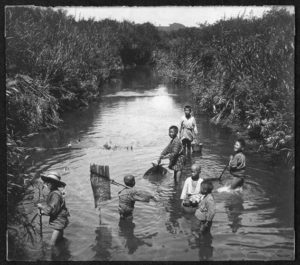 A photograph of village boys playing and fishing in a river. 