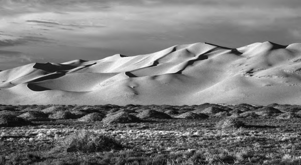 Sand dune landscape.