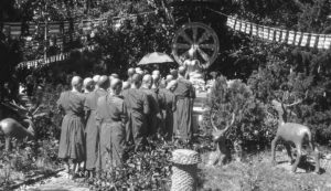 A group of monks at a religious site at the Suttajit Bhikkhuni Center.