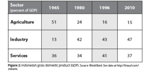 Table describing the percentage of Indonesia's gross domestic product by sector (agricultural, industrial, and services) from 1965 to 2010. The table demonstrates that between 1965 and 2010, the agricultural percentage of GDP decreased from 51% to 15%. Industrial percentage of GDP increased from 13% to 47%. Services stayed the same. 