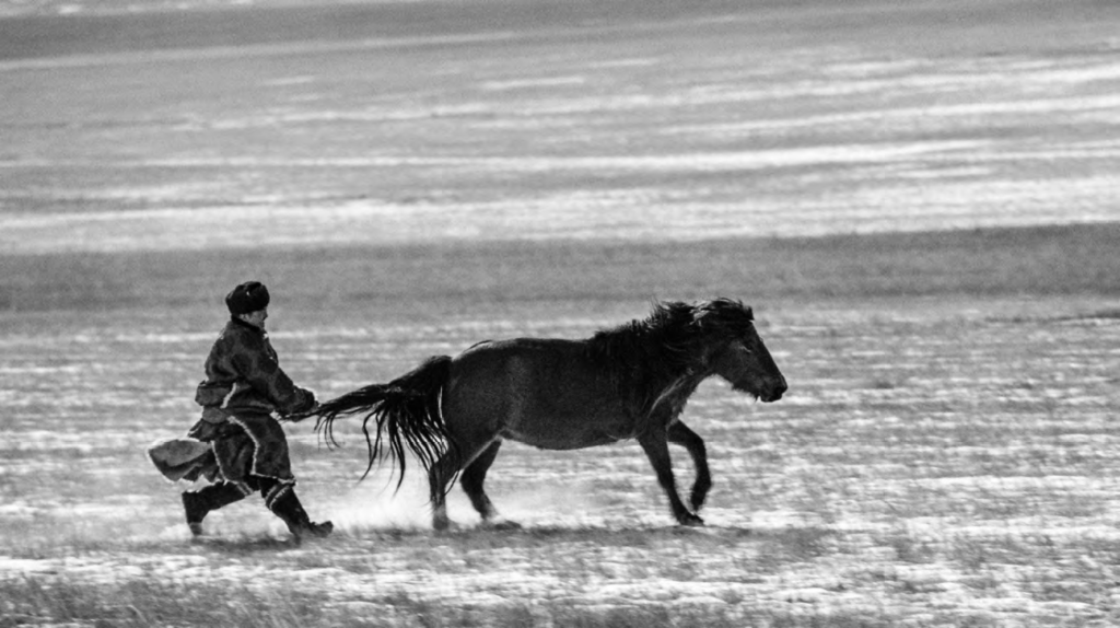 On a snow-covered plain, a Mongolian horse is leading the herdsman back home. 